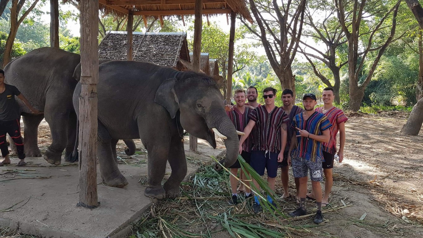 Image with friends with the elephants